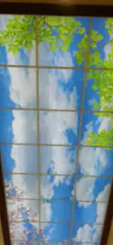 سیاوش نامنی
