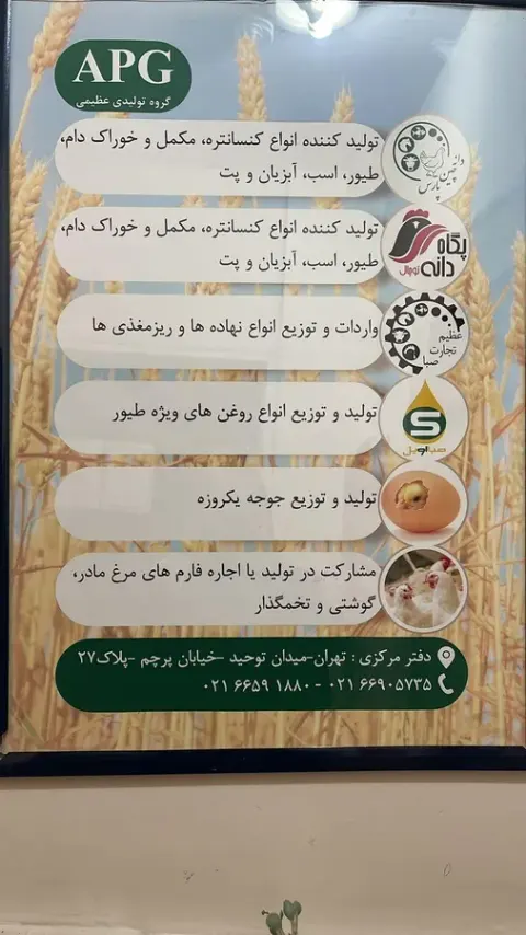 هلدینگ تولیدی بازرگانی عظیمی
