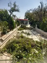 خدمات کشاورزی موسی سعادتی مقدم