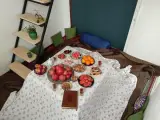 کافه هاستل پارادیزو