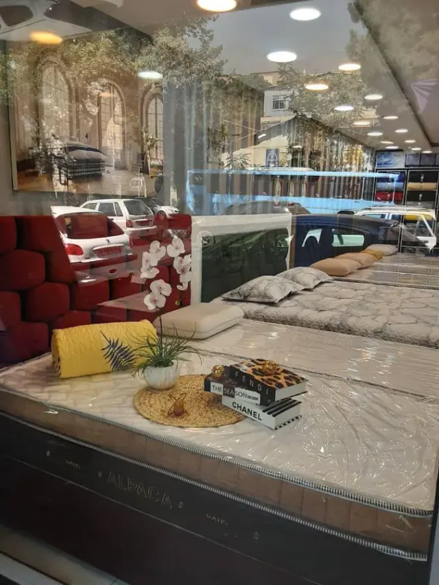 تشک داتیس دزاشیب