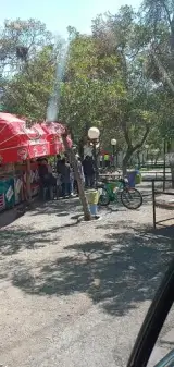 کرایه دوچرخه ۱