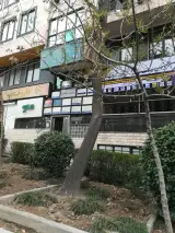 دکتر علی ناظری استانهء