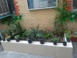 دبستان دخترانه دولتی شهید شهسواری