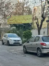 دبستان پسرانه دولتی دکتر محمود افشار