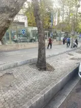 جیلران موتور
