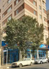 فروشگاه هفت