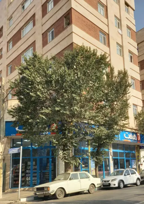 فروشگاه هفت