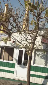 ایستگاه پلیس ۶