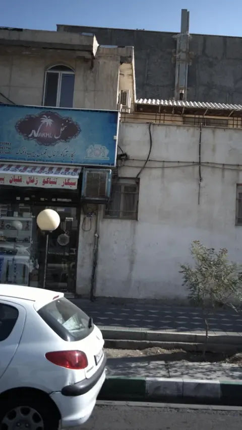 نخل