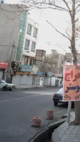 دنیای پرنده