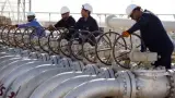تجارت صادرات و واردات منوچهری