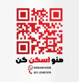 فناوران الکترونیک فیدار (میگ میگ)