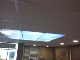 مهدی علی