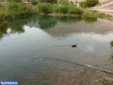 سراب عباس آباد شازند