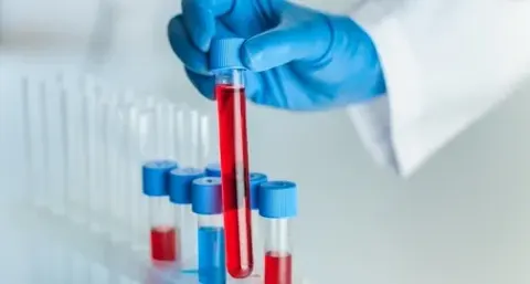 آزمایشگاه مادر