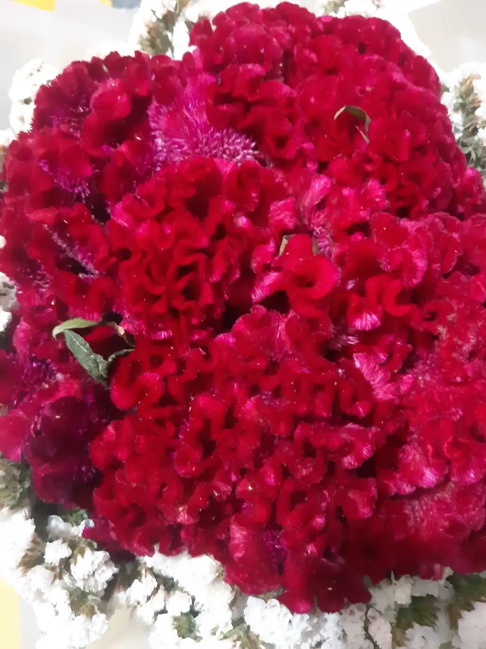 شرکت خدماتی نظافتی یاسر