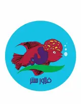 فلاور سنتر