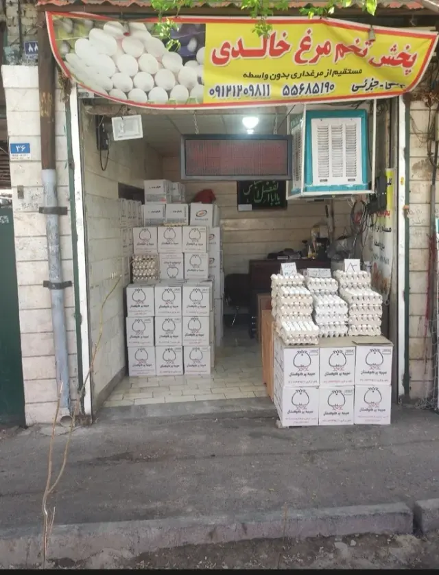 پخش تخم مرغ خالدی