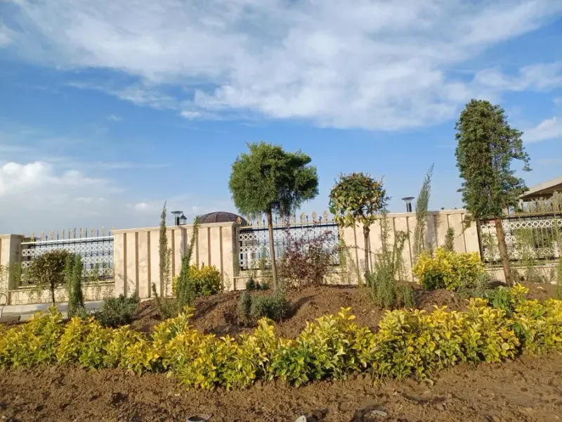 سرزمین سبز رویا