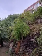 کافه رستوران مهر و ماه