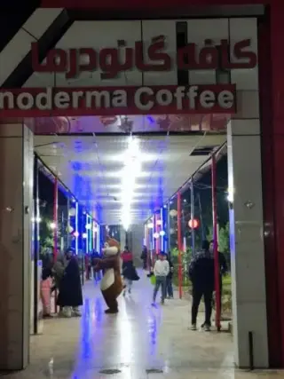 کافه گانودرما