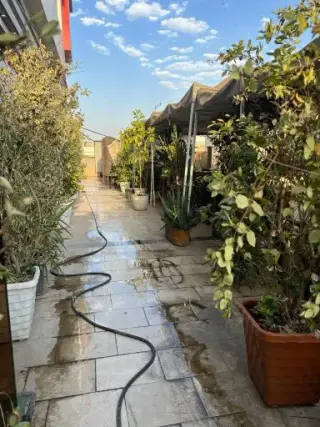 کافه تراس