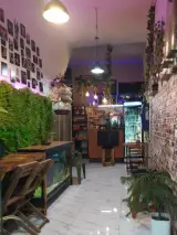کافه کایا