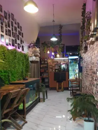 کافه کایا