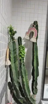 کافه رستوران بامبو