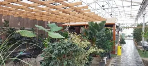 کافه آروسیک