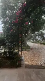 رستوران لاله نوشهر