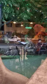 کافه وردنت