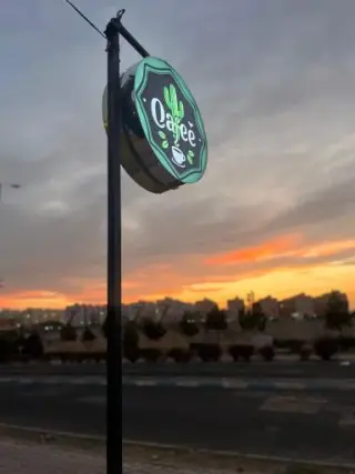 کافه کاکتوس