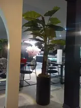 کافه رستوران لایف لند