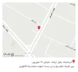 کلینیک تخصصی حیوانات خانگی آیلین