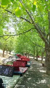 باغ رستوران پدیده