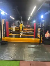 باشگاه بدنسازی و بوکس مدال آوران