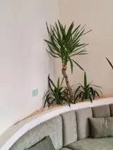 کافه رستری بوربون
