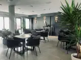 کافه هوما ( قهوه و انواع نوشیدنی، قلیان، صبحانه)