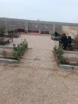 کافه باغ تک درخت