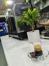 کافه مون