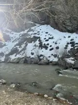 باغ رستوران ساحلی فانوس