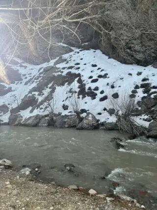 باغ رستوران ساحلی فانوس