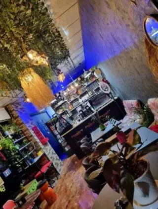 کافه گیسو