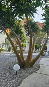 کافه رستوران مارفیل