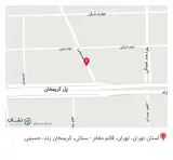 کافه ولگا