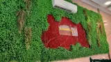 رستوران کبابا