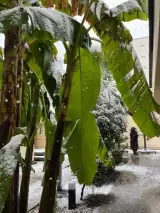 کافه بیکروم