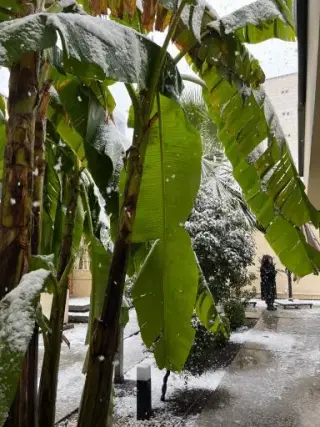 کافه بیکروم